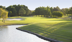 royalpines