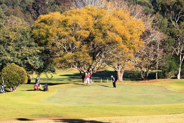 City Golf Cub City Golf Cub