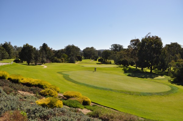 Commercial Club Golf Resort Albury