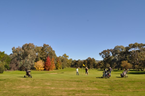 Wodonga GC