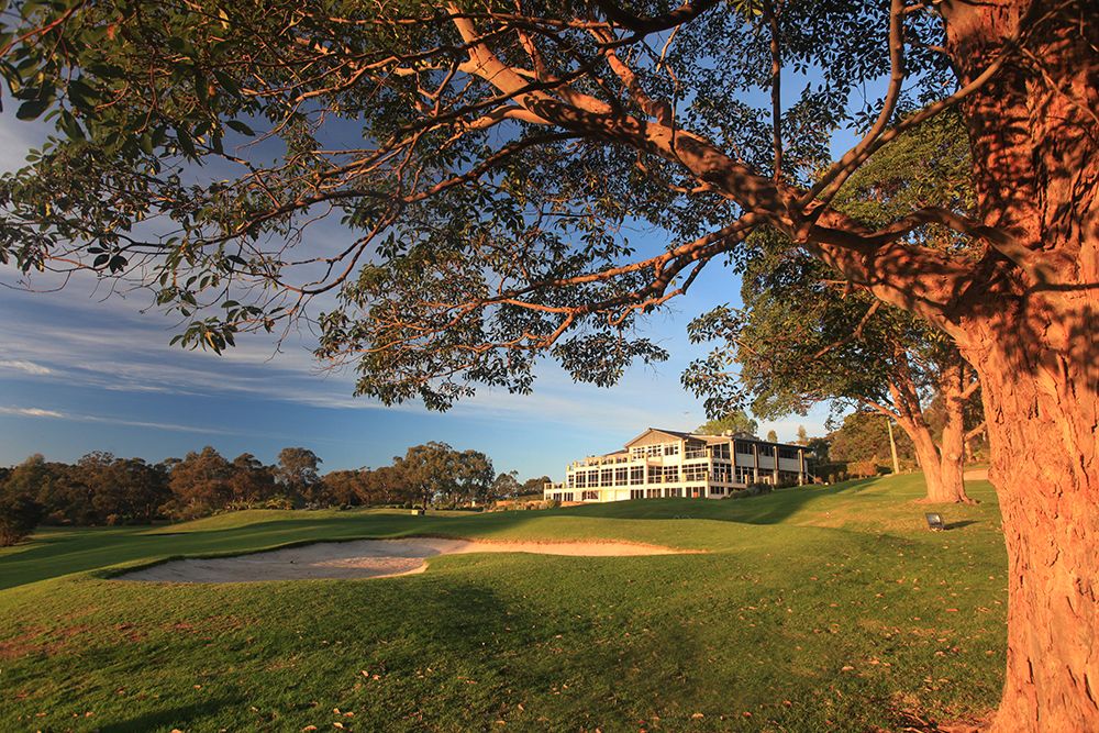 Monash_14SideTree_6161