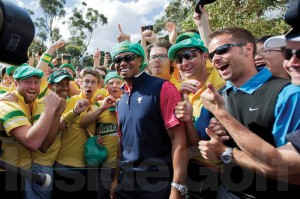 Tiger in crowd