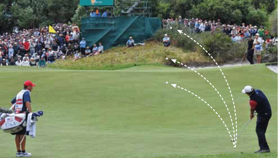 mickelsonchip
