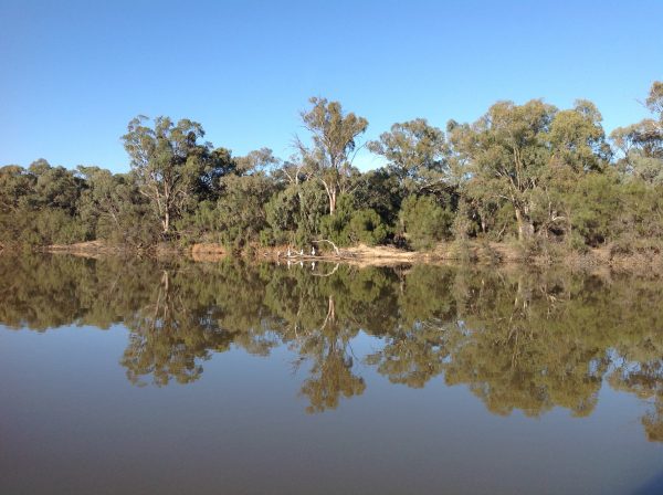 Murray River