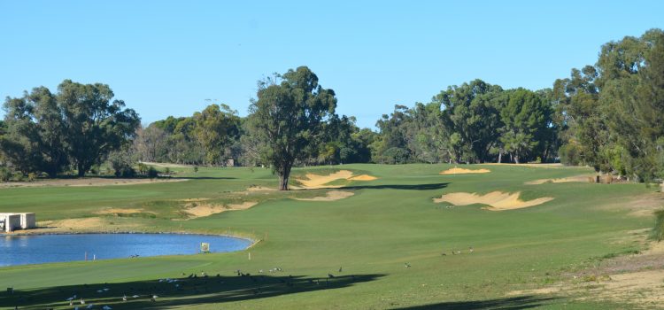  Pro golfers to give new Sun City layout its first pro-am test