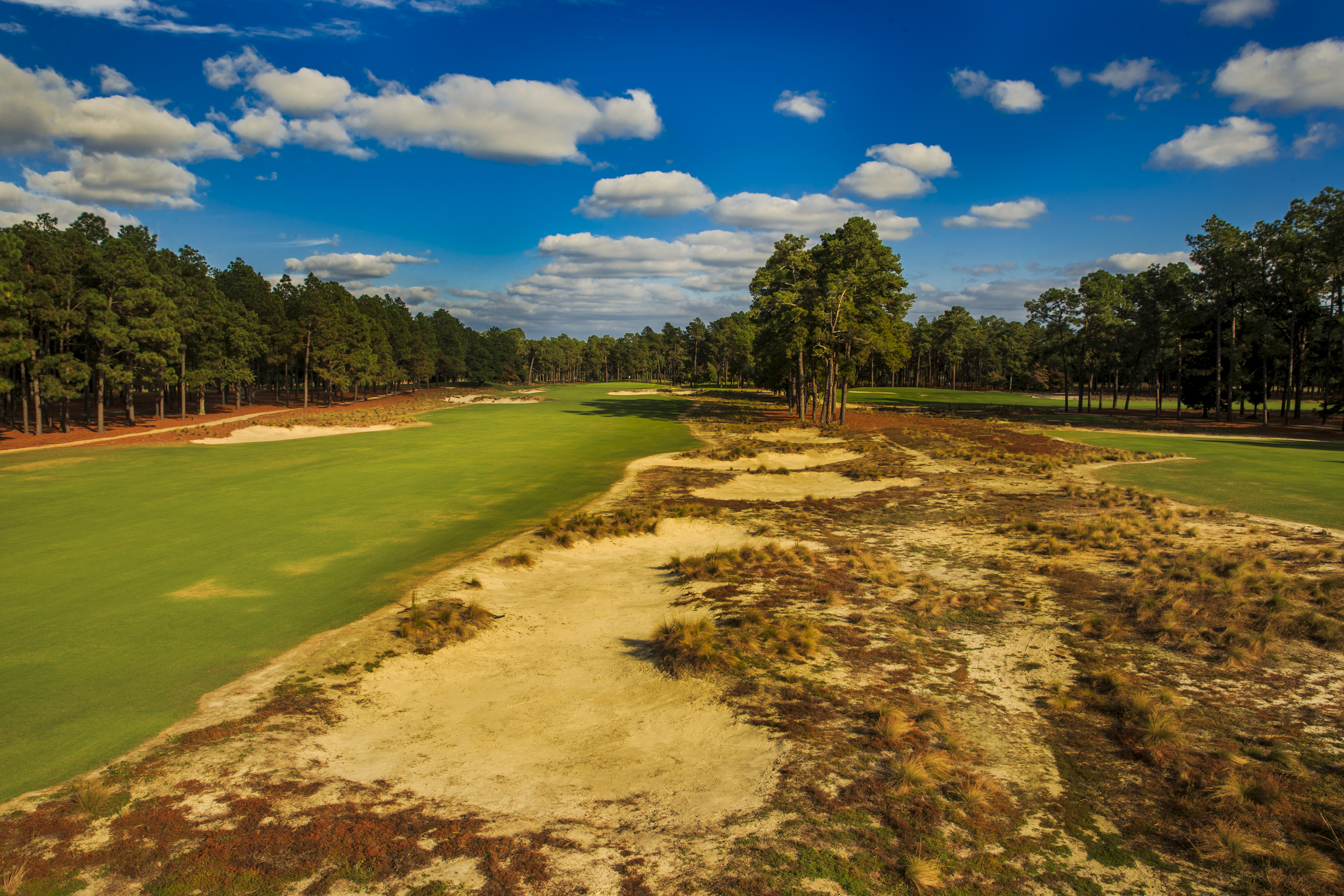 Pinehurst No. 2