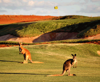 Seeing Red: Kalgoorlie Golf Course