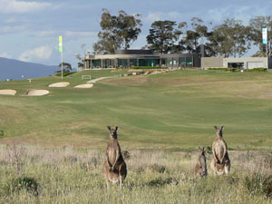 Growling Frog Golf Course