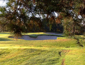 Strathfield Golf Course