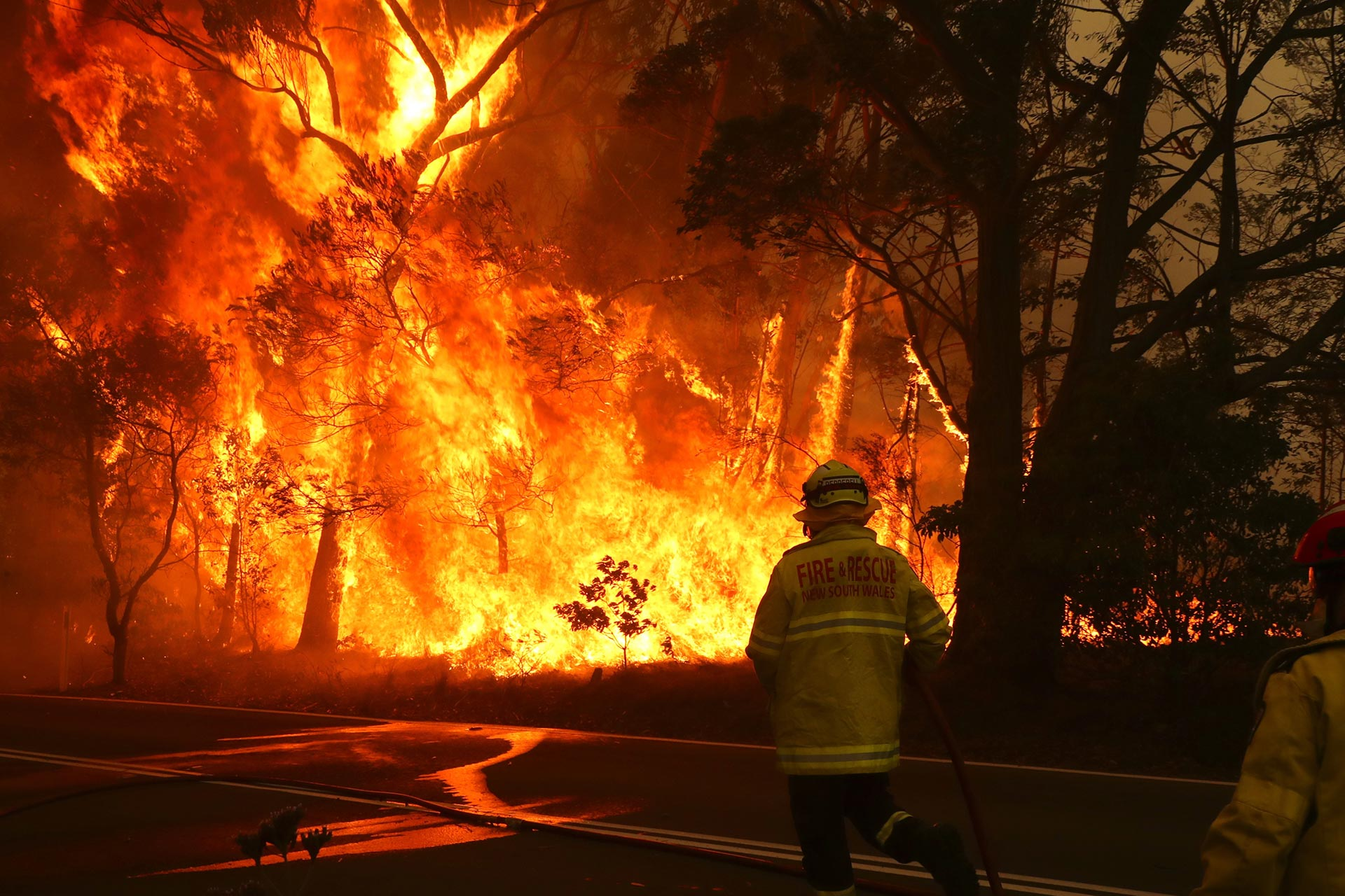 Golf goes to aid of bushfire victims