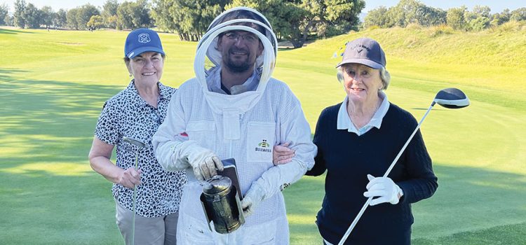 West Beach Park welcomes tiny new residents 