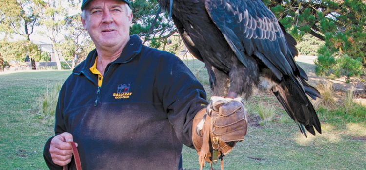 ‘Birdies’ no match for an eagle