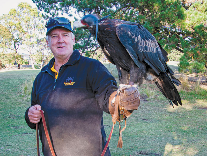 ‘Birdies’ bukan tandingan elang |  Golf di dalam.  Majalah Golf Paling Banyak Dibaca di Australia seperti yang disebutkan oleh Pegolf Australia