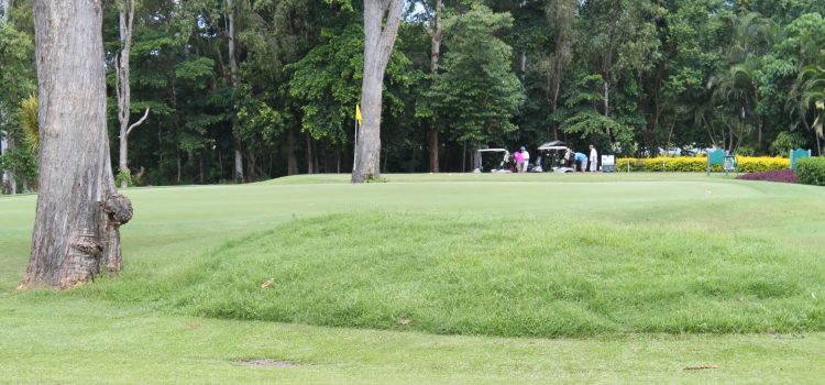 Cairns Golf Club trials one-tee policy