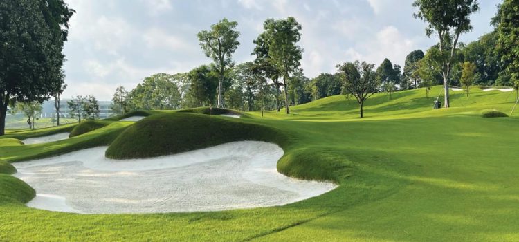 BUSINESS OF THE MONTH: Centaur Asia Pacific – helping to build sustainable, beautiful, high-performing bunkers, greens and arenas