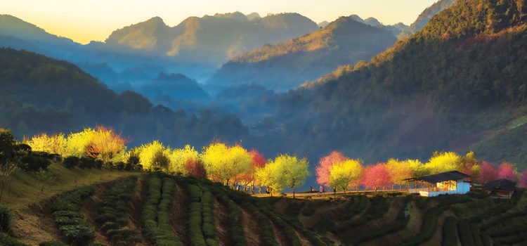 Chiang Mai – history, culture, nature and modern amenities