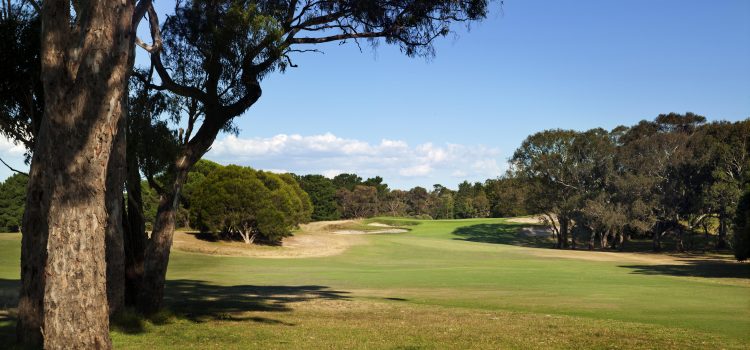 Club of the Month: Curlewis Golf Club