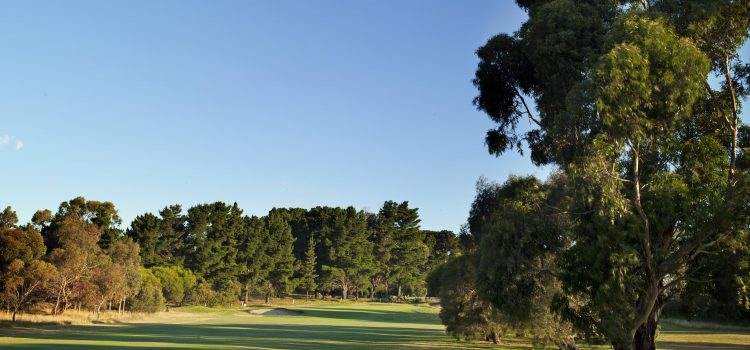 Curlewis on par and potent