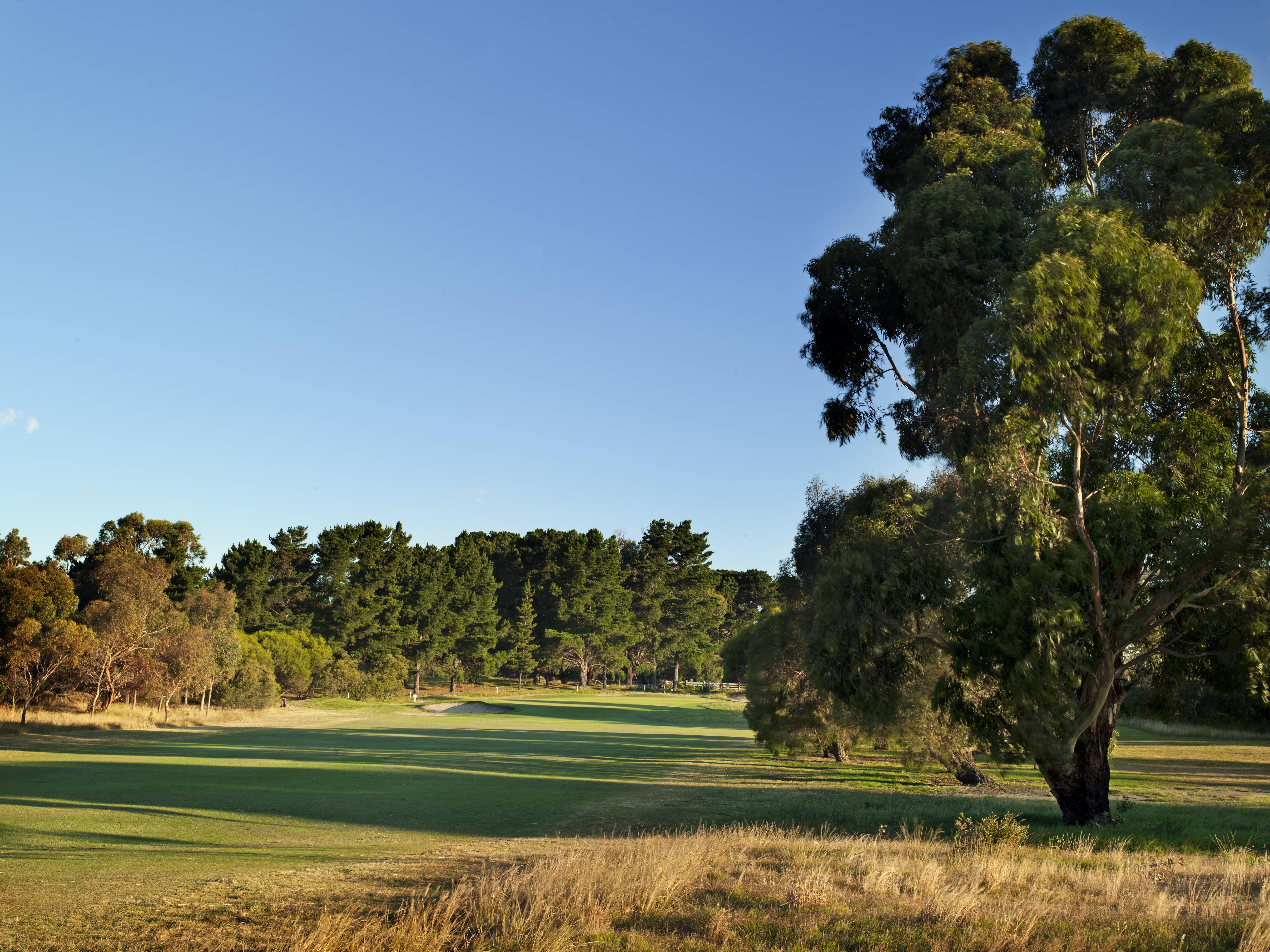 Curlewis, Hole 6