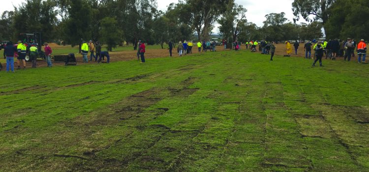 Volunteers make a difference at Dunedoo