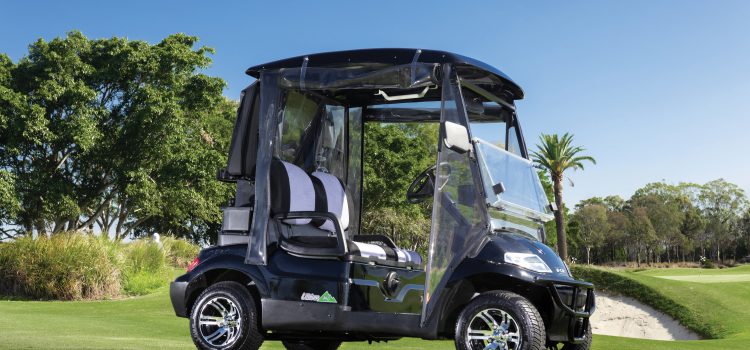 Lithium package E Car 627 Series Golfer Deluxe