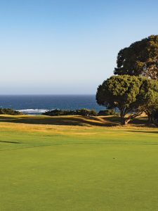 Lamerton finds a home at Flinders 