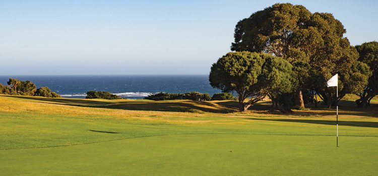 Lamerton finds a home at Flinders 