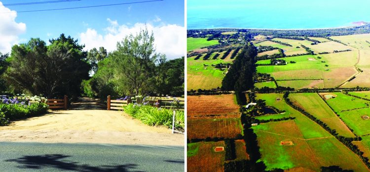 Green light for driving range