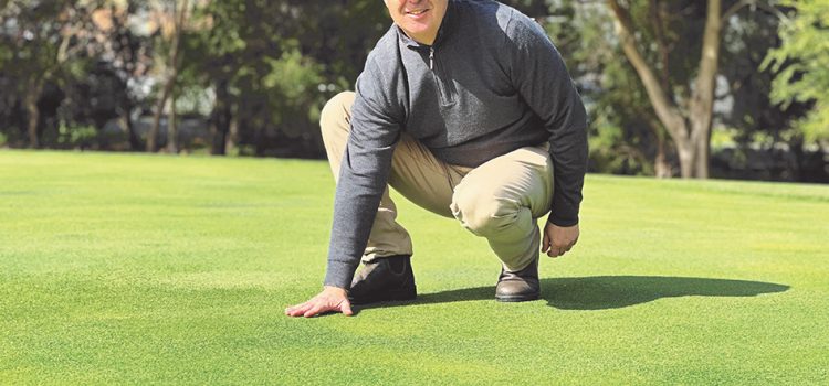 Dan Cook and Greenway Turf Solutions raising the standard 