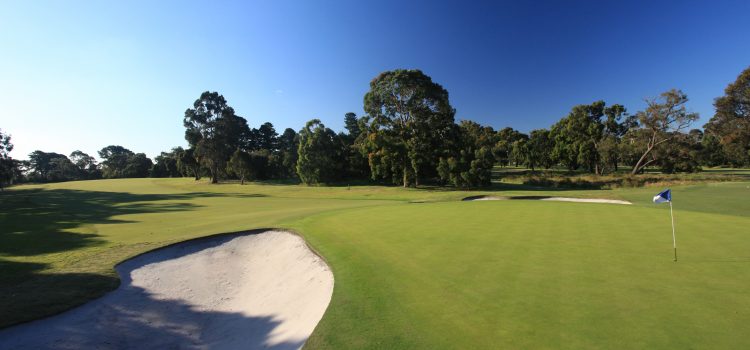 Club of the month: Cranbourne Golf Club