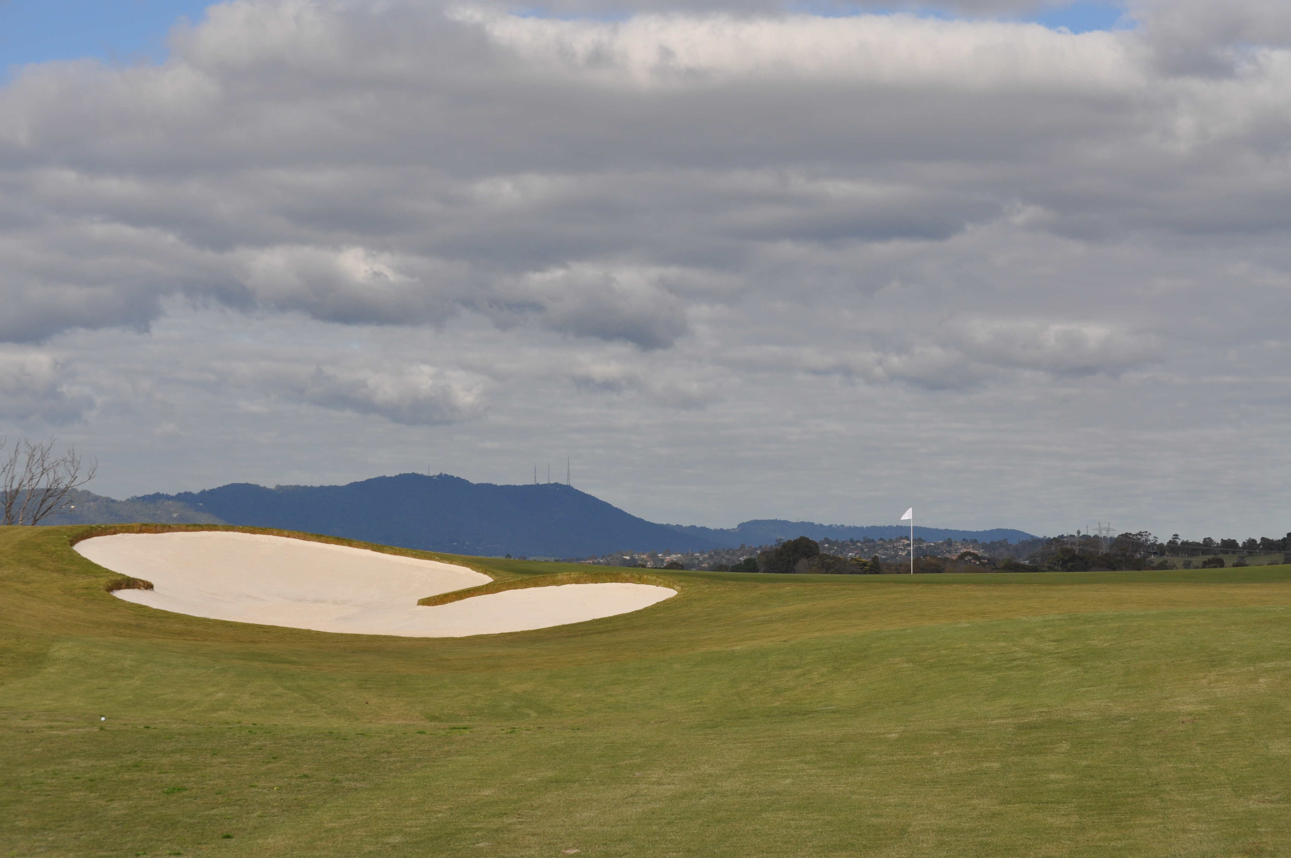 Hole1green