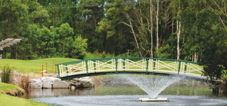 Husqvarna – leading the way with robotic mower innovation 