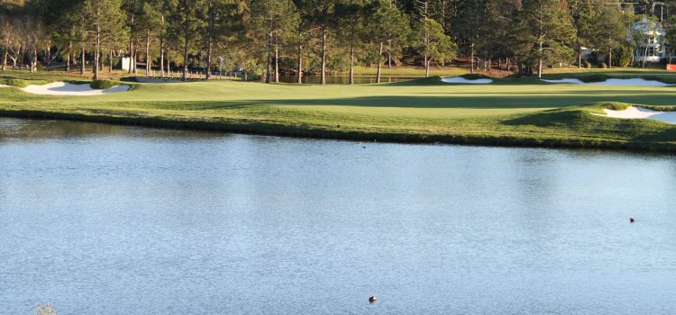 RACV Royal Pines shaping up well RACV Royal Pines shaping up well