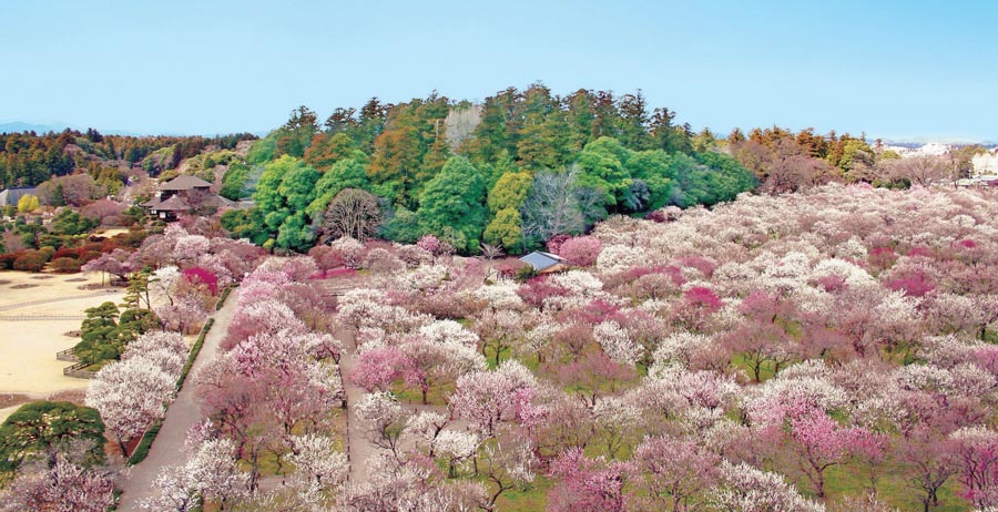 Japan-Kairakuen-1