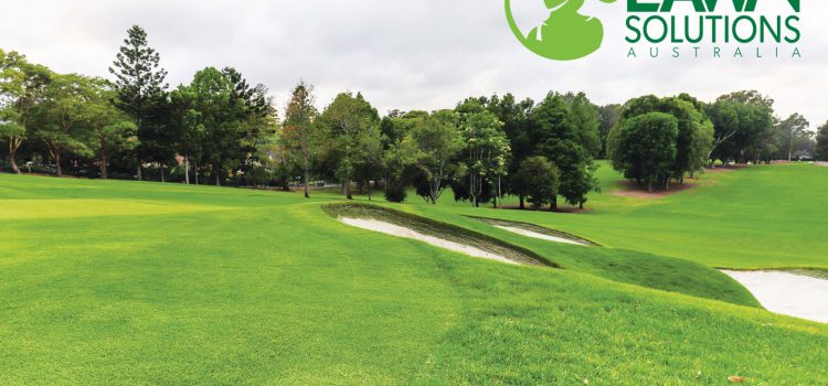 BUSINESS OF THE MONTH: Lawn Solutions Australia