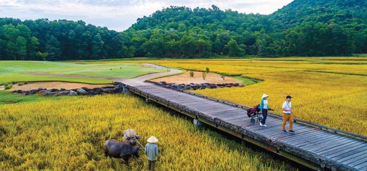 Visit Vietnam