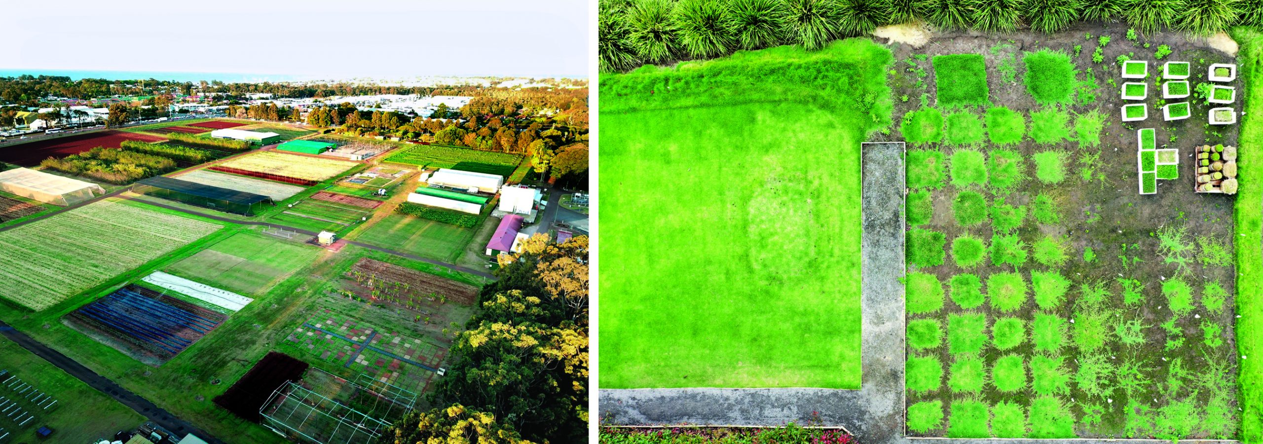 Lawn-Solutions-Australia