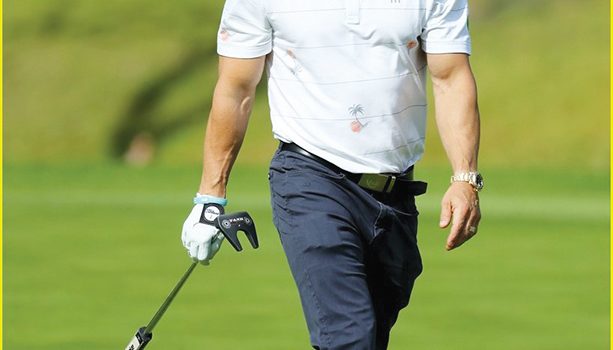 Hollywood heavyweight an ally in fight to save Moore Park 