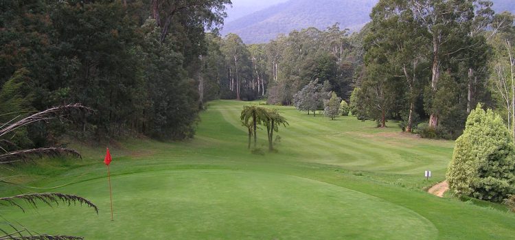 Looking back on the 12th hole from the elevated 13th tee at Marysville Marysville rises from the ashes