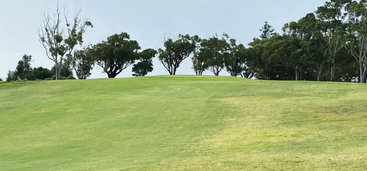 NEWS FROM THE SOCIETY OF AUSTRALIAN GOLF COURSE ARCHITECTS