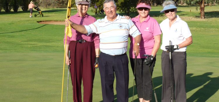 Clubs lining up to host pairs competition