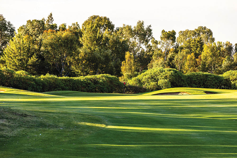 Regency-Park-Community-Golf-Course_DB_0803