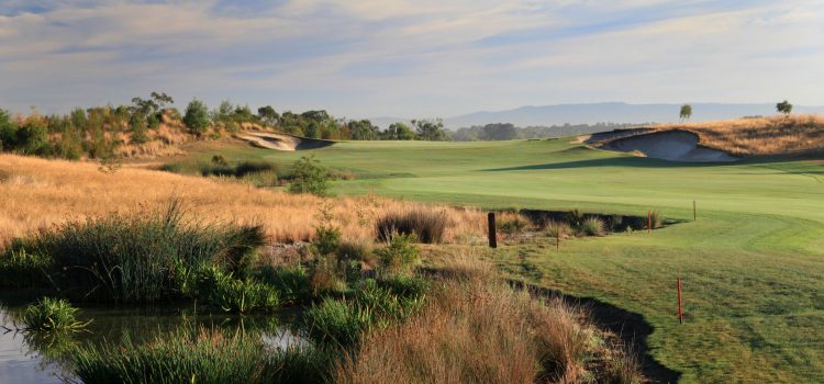 Amstel Golf Club to take over management of Settlers Run Amstel Golf Club to take over management of Settlers Run