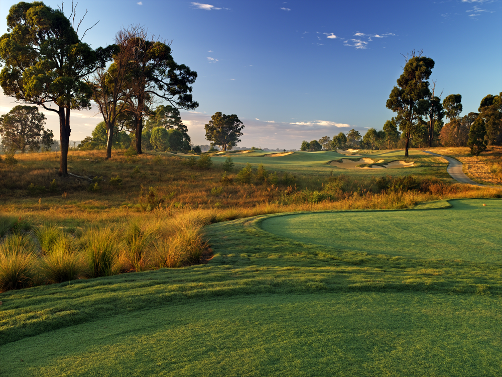 Signature Hole T C 14