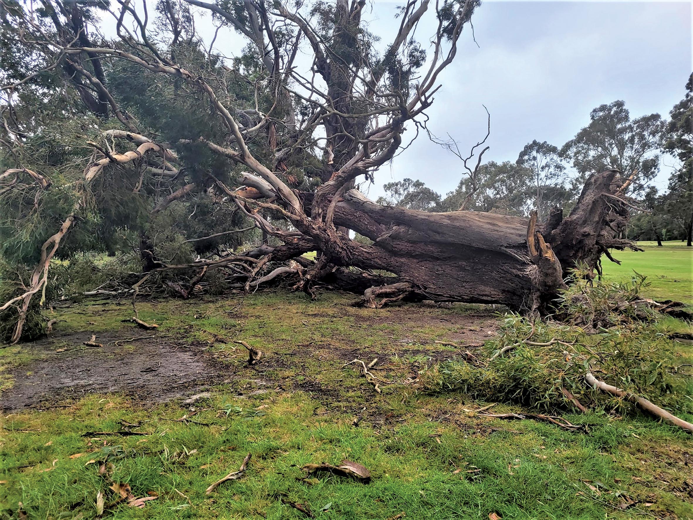 Storm-Damage-Oct-2021-2