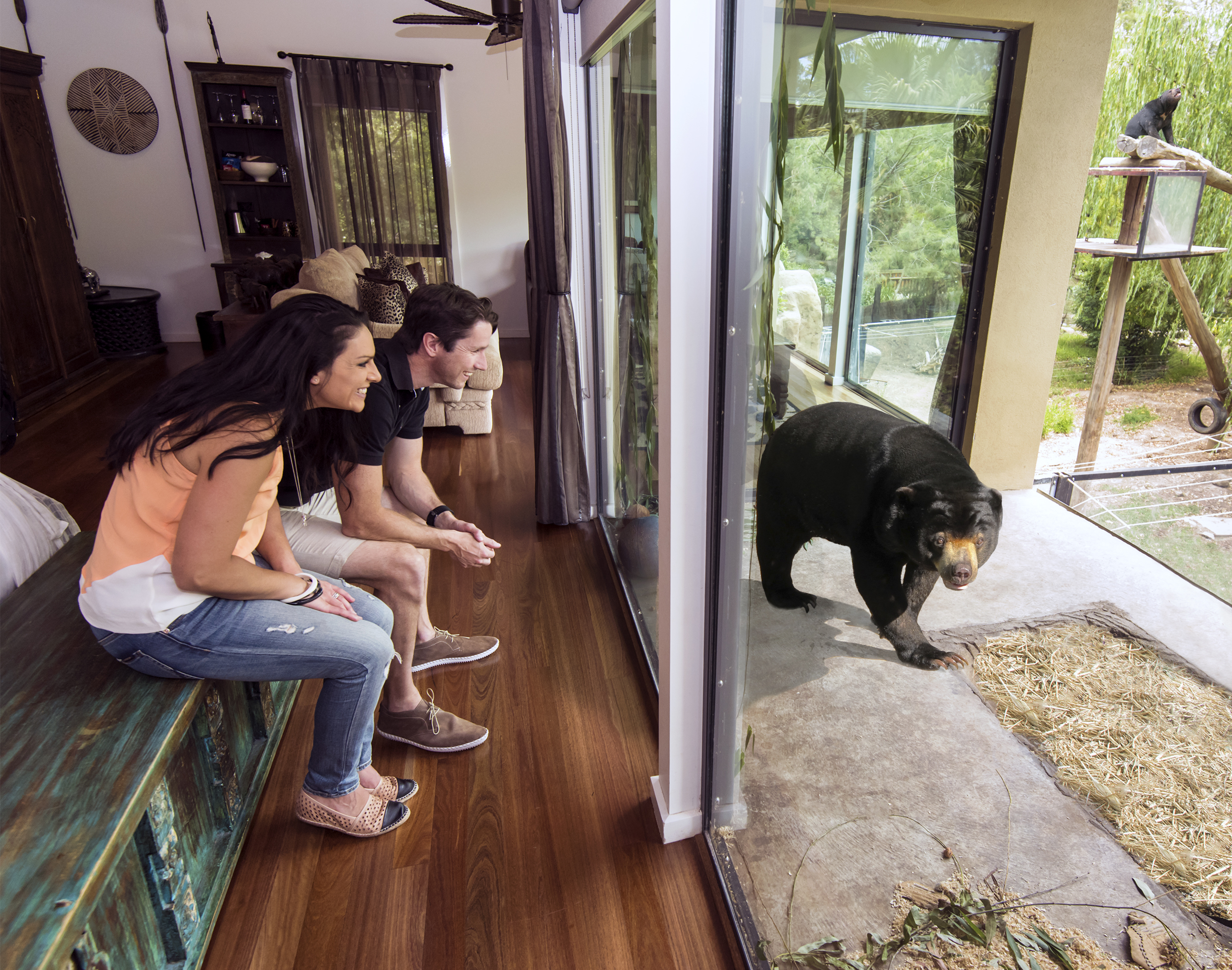 SunBear Bungalow