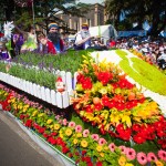 Toowoomba Carnival of Flowers.