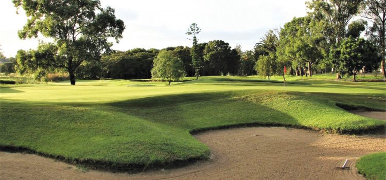 Centenary Celebration: Waratah Golf Club