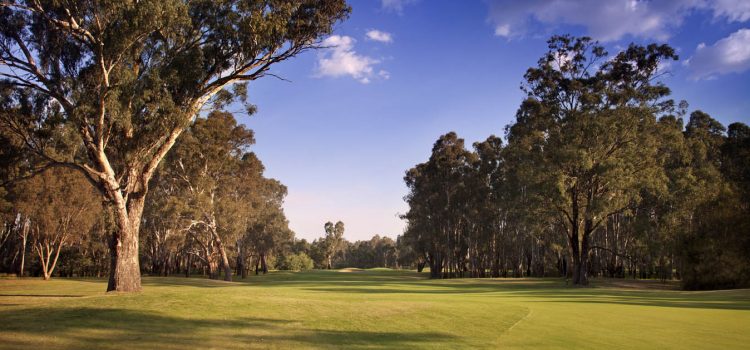 Golf on the Murray: Yarrawonga Mulwala Golf Club Resort