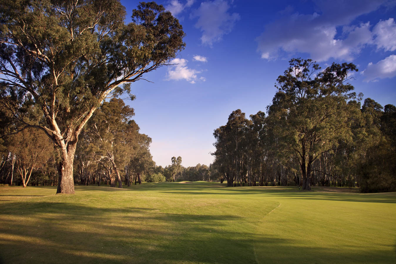 YBGC Murray Course Hole 4